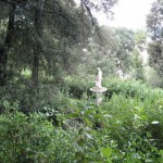 giardino dei Boboli